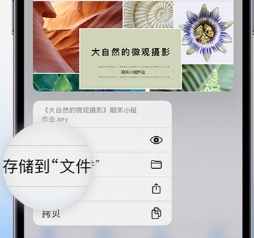 达日apple维修中心分享iPhone文件应用中存储和找到下载文件