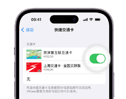 达日apple维修点分享iPhone上更换Apple Pay快捷交通卡手绘卡面 