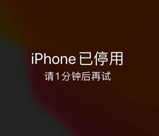 达日苹果手机维修分享:iPhone 显示“不可用”或“已停用”怎么办？还能保留数据吗？ 