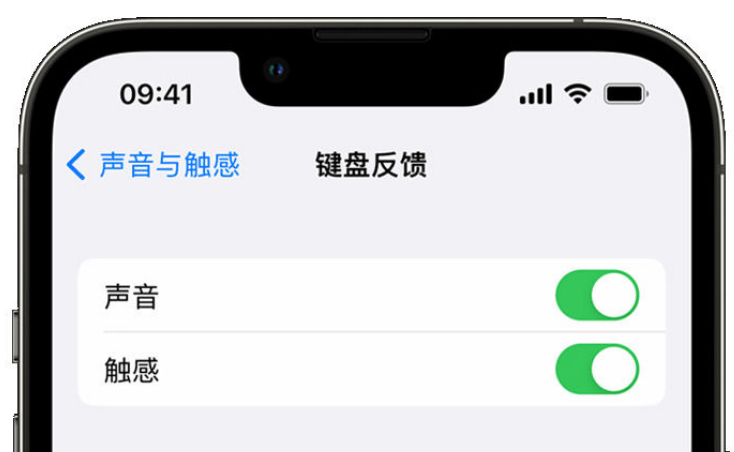 达日苹果手机维修分享iPhone 14触感键盘使用方法 