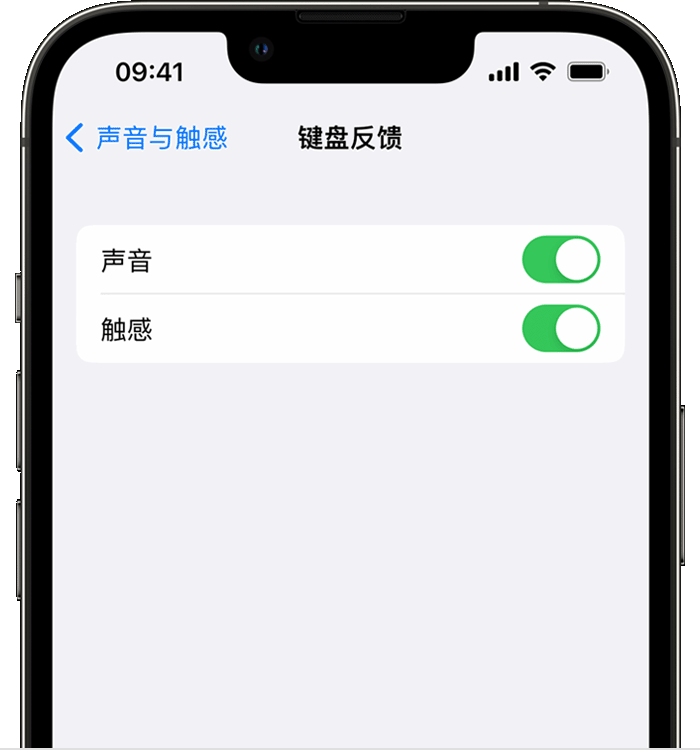 达日苹果14维修店分享如何在 iPhone 14 机型中使用触感键盘 