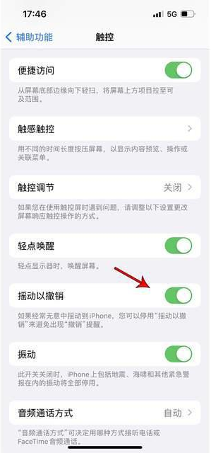 达日苹果手机维修分享iPhone手机如何设置摇一摇删除文字 