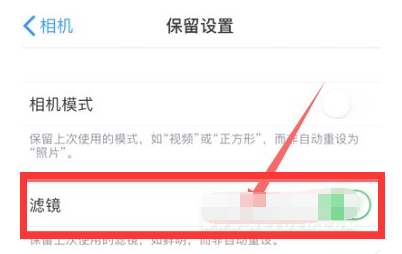 达日苹果13维修分享iPhone13拍照有绿点是怎么回事 