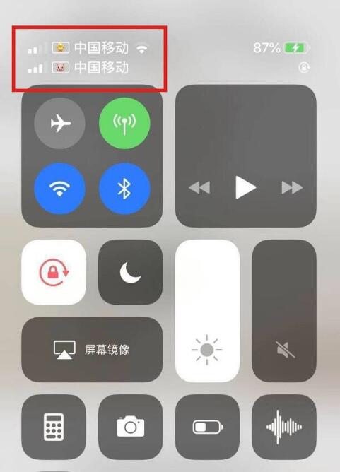 达日苹果手机维修分享为 iPhone 12 双卡设置标签 